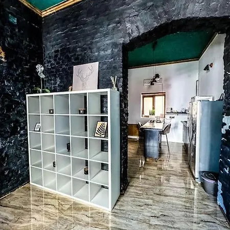 Cozy & Charming Apt. Downtown *